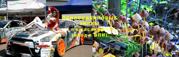 гашик Балабаново
